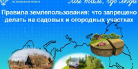 Росреестр по Запорожской области разъяснил собственникам садовых и огородных участков правила землепользования. - Городской округ Бердянск
