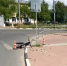 В Дзержинске электросамокатчик летел на "зебру", а приземлился в больнице - ProDzer.Ru