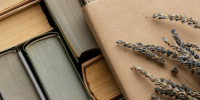 Новосибирские студенты создали сканер для бережной оцифровки книг - Сиб.фм