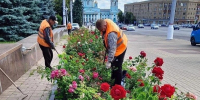 В парках и скверах Курска обновили клумбы и провели обрезку кустарников - РИА Курск