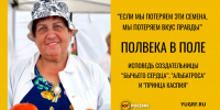 Автор легендарного астраханского помидора «Бычье сердце» дала интервью «Югу России» - Юг России