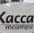 РАБОТА КАССЫ ТЕАТРА - Тульский драмтеатр