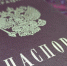 29 grazhdanstvo net - ГТРК