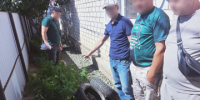 В Акбулаке полицейскими возбуждено уголовное дело по факту незаконного хранения наркотического средства - ОМВД Акбулакского района 