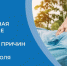 . - Детская городская поликлиника №3