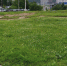 В Кирове на днях приступят к работам по новой полосе у Метро - Bnkirov.Ru