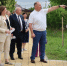 Депутат Госдумы оценила результаты благоустройства в Армавире - Газета Краснодарские известия