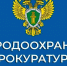 Саратовская межрайонная природоохранная прокуратура разъясняет изменения, внесенные в законодательство о государственном контроле (надзоре). - Пугачёвский район