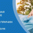 . - Городская поликлиника №7