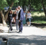 2 - Городская Дума