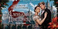 Сочинцы и гости курорта в течение лета могут увидеть ледовое шоу Татьяны Навки «Аленький цветочек» - Администрация г. Сочи