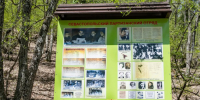 29 июня  День партизан и подпольщиков - Севприроднадзор