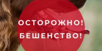 Бешенство — это особо опасное острое вирусное инфекционное заболевание, с абсолютной летальностью. - Иглинский район