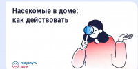 Борьба с насекомыми в многоквартирном доме - Министерство ЖКХ и гражданской защиты населения