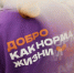 Новосибирская область в восьмой раз стала победителем Всероссийского конкурса «Регион добрых дел» - Департамент молодёжной политики