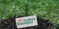 10 лет заботы о природе: «Зелёная Башкирия» подарила жителям 10 000 добрых семян - Минэкологии РБ