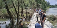 Временную дамбу укрепляли мешками с грунтом. - Газета Авангард