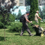 Службы городского хозяйства  продолжают борьбу с сорной растительностью   - Администрация г. Тамбова