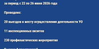 О результатах контрольной (надзорной) деятельности ГЖИ Воронежской области за период с 22 по 26 июня 2026 год - Государственная жилищная инспекция