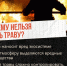 Трава – не дрова!. - Администрация г. Северодвинска