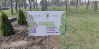 На Кубани подвели итоги Международной акции «Сад памяти» в 2026 году - Министерство природных ресурсов