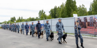 JPG Файл - УМВД Вологодской области