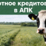 Льготное кредитование - Министерство АПК и продовольственной политики
