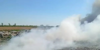 В Ростовской области загорелся мусор на полигоне в станице Багаевской - DonDay.Ru
