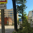 упало дерево - Новый Компаньон