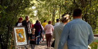 Гостем фестиваля "Аракуш" станет народный артист России Владимир Стеклов - OnlineTambov.Ru