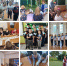 MyCollages.jpg - Избирательная комиссия