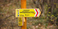 Фото: Заповедный Крым - Крымская правда