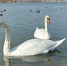 Воздух в Новороссийске признали чистым: экологи зафиксировали пониженный уровень загрязнения - GazetaNovoros.Ru