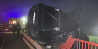 Под Копейском черная «Приора» сбила косулю и едва не упала в реку - КП Челябинск