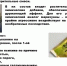 Здоровый образ жизни - Управление соцзащиты населения