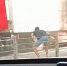 Скрин видео - Алтайская правда