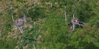 Фото: max.ru/id2801130936_gos - Амурское областное телевидение