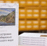 Наша книга – в тройке лучших на выставке 
«Амурские книжные берега»! - Научная библиотека им. А.С. Пушкина