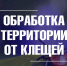 В двух скверах Владимира проведут обработку от клещей - ГТРК Владимир