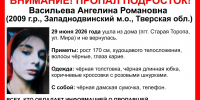 В Западнодвинском районе ищут девочку-подростка - Афанасий-биржа