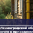 Более 390 домов подключили к газу за неделю в Ленинградской области - Online47.Ru
