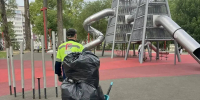 В Вологде за сутки убрали 86 кубометров смёта и выкосили 5,5 гектаров травы - OnlineVologda.Ru