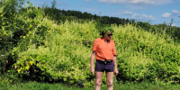 Пекло бродит по Европе... и наведается к нам - Молодой коммунар