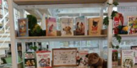 Книжная выставка «Такие разные собаки» - ЦБС города Ельца