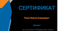 Студенты Дальрыбвтуза ярко проявили себя на корпоративном инженерном кейс‑чемпионате «РАЦЭНЕРДЖИ» - Дальрыбвтуз