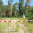 Карантин по бешенству ввели в деревне Бурцево Нижегородской области - НИА Нижний Новгород