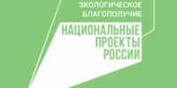Фестиваль собрал 20 команд школьных и студенческих лесничеств в Томской области - NIATomsk.Ru