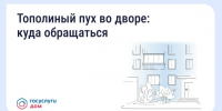 oRW7Fxz6ciZjwKJTxDmM2 tDkerbr kmgCWrQsaEUvtbEtxWUS2vywtpDTudt SDMmTLmVFRI uXK4y959PKSy0 - Красноярский район