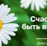 В честь Дня любви и верности в Новосибирске пройдет Парад семьи - Министерство региональной политики