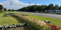 Петербуржцам рассказали про цветники при въезде в город - Spbdnevnik.ru